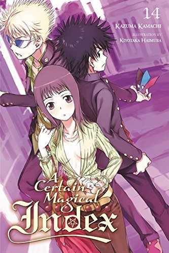 A Certain Magical Index, Vol. 14 (light novel) (CERTAIN MAGICAL INDEX LIGHT NOVEL SC, Band 14)