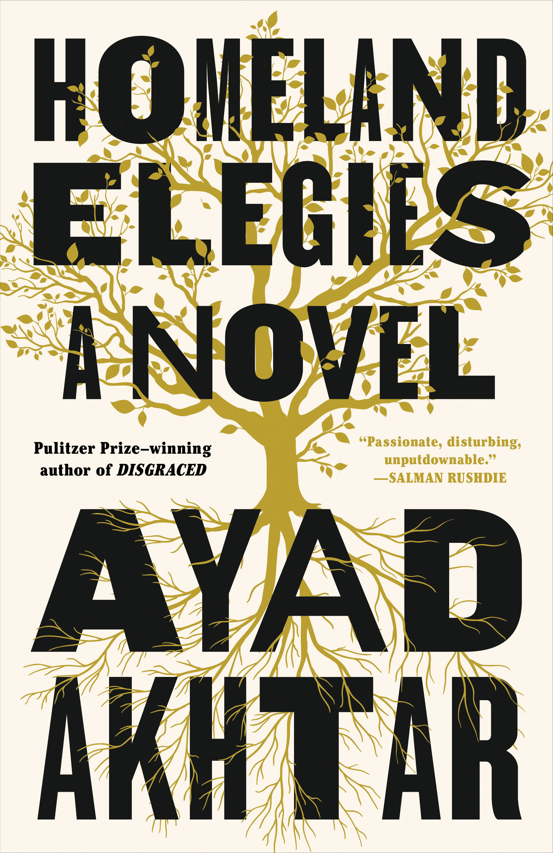 Homeland Elegies: A Novel