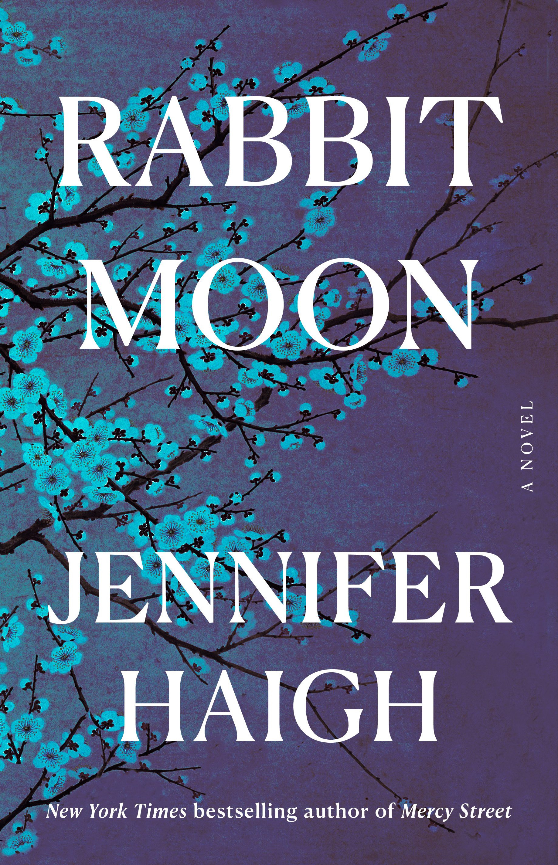 Rabbit Moon: A Novel