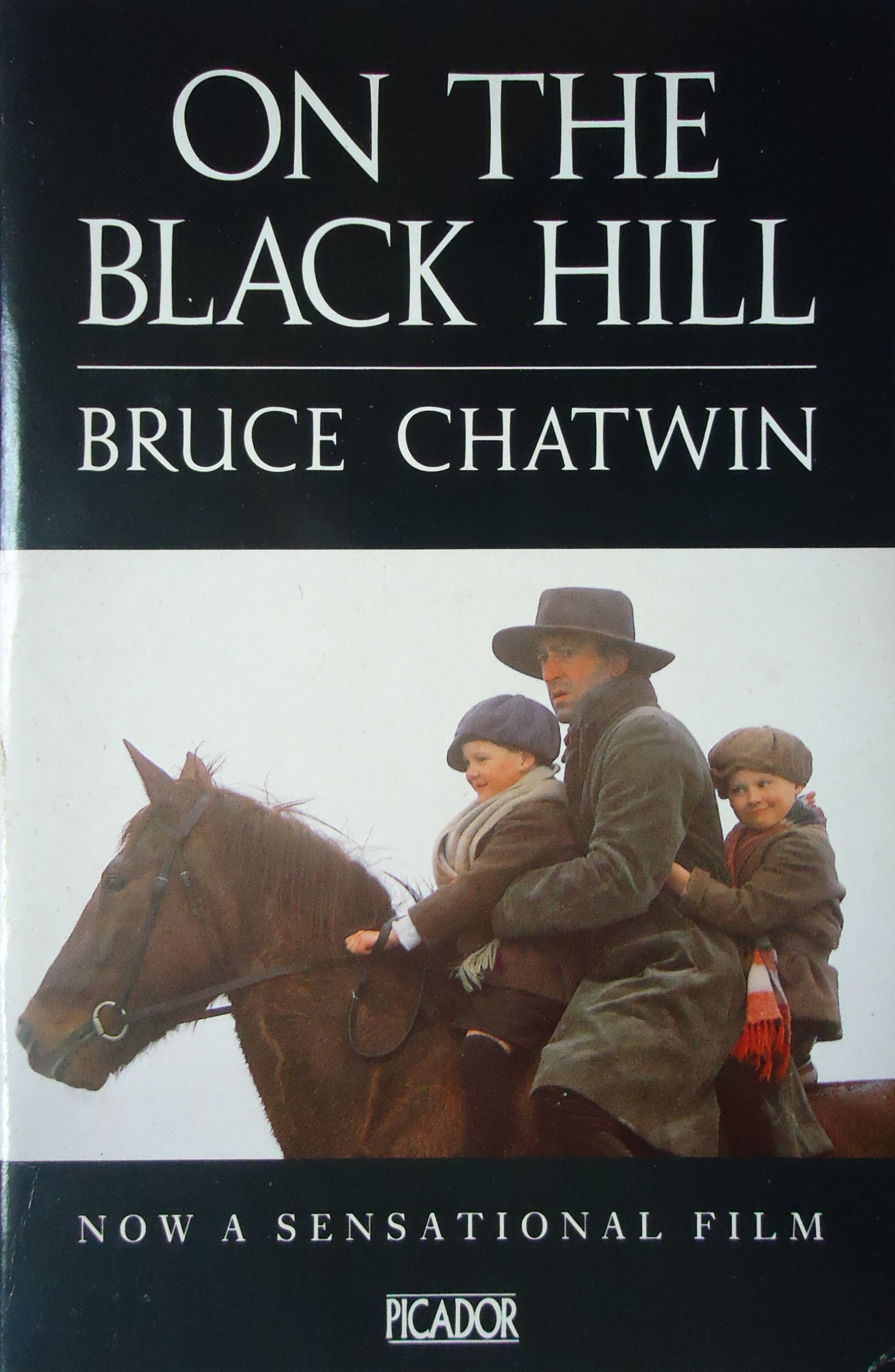 On The Black Hill (Picador Books)