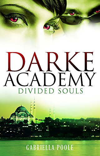 Divided Souls: Book 3 (Darke Academy, Band 3)