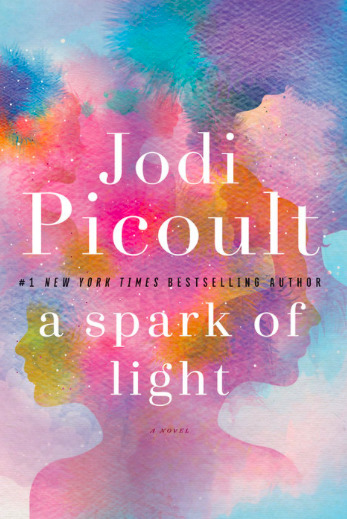 A Spark of Light: A Novel