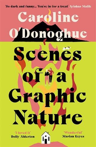 Scenes of a Graphic Nature: 'A perfect page-turner' (Dolly Alderton) from the bestselling author of The Rachel Incident