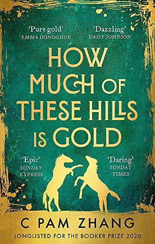 How Much of These Hills is Gold: ‘A tale of two sisters during the gold rush … beautifully written’ The i, Best Books of the Year