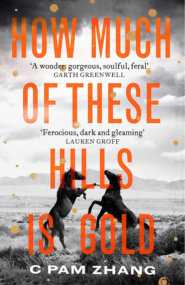 How Much of These Hills is Gold: Longlisted for the Booker Prize 2020