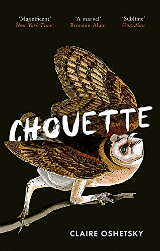 Chouette (Investigación)