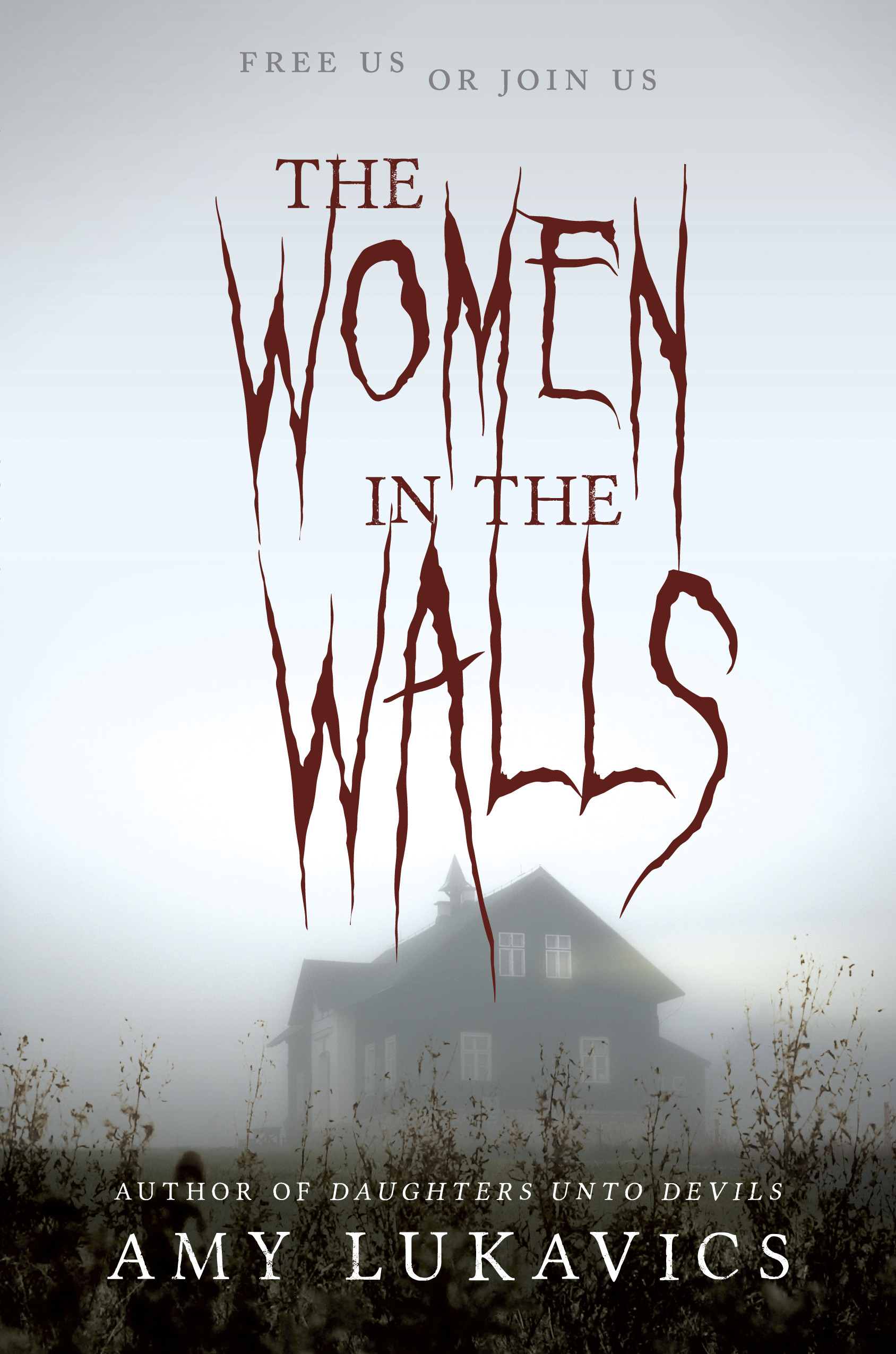 The Women in the Walls: A dark and dangerous tale