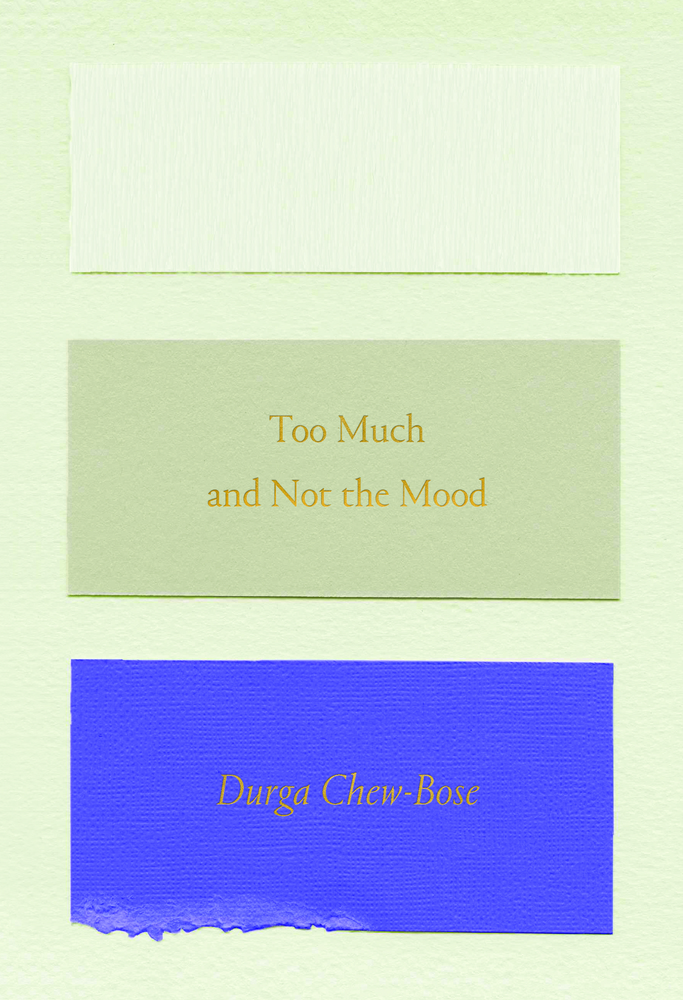 Too Much and Not the Mood: Essays
