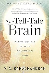 The Tell-tale Brain