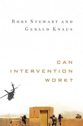 Can Intervention Work? (Amnesty International Global Ethics, Band 0)