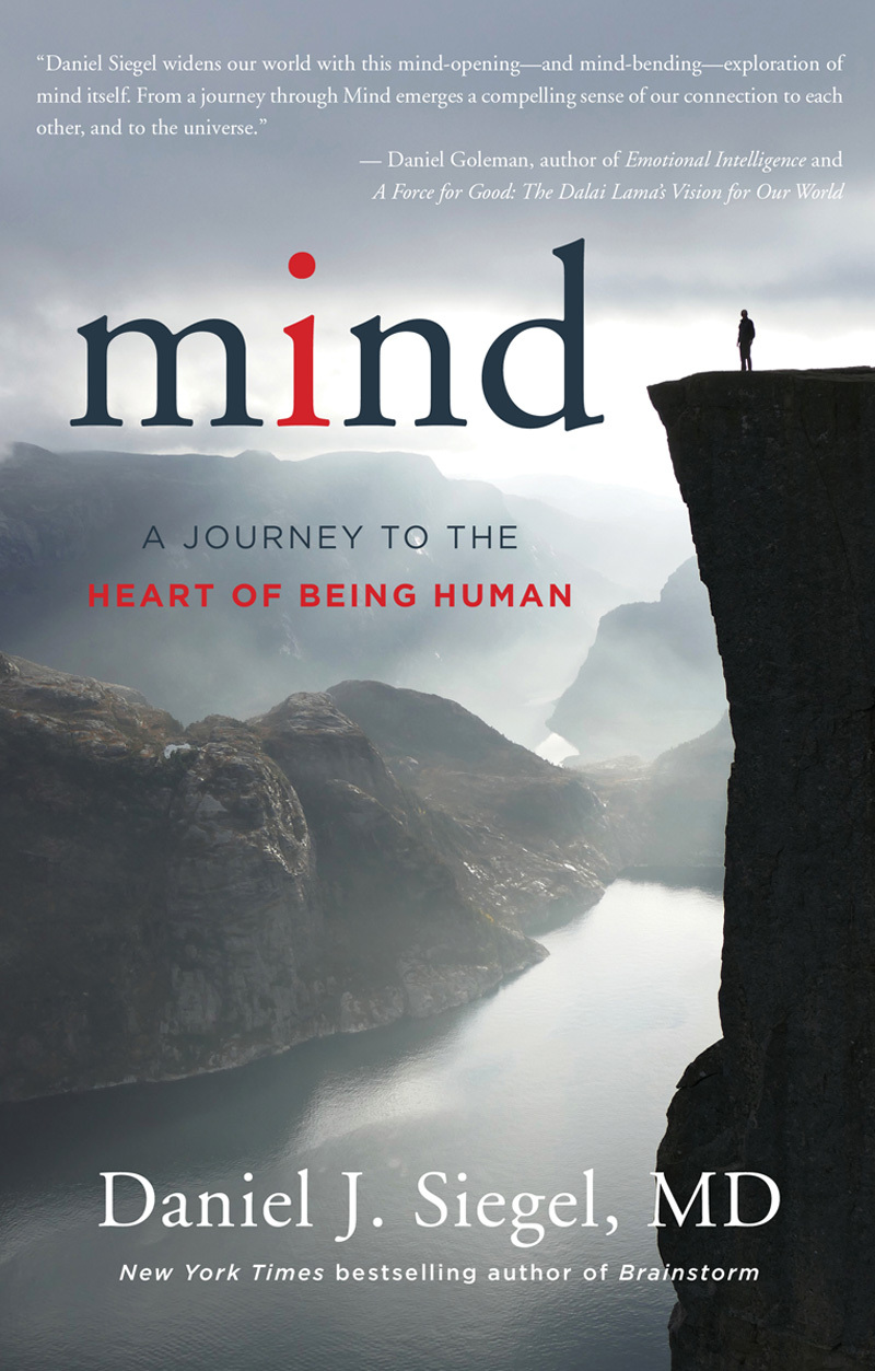 Mind: A Journey to the Heart of Being Human (Norton Interpersonal Neurobiology, Band 0)