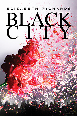 Black City (A Black City Novel, Band 1)