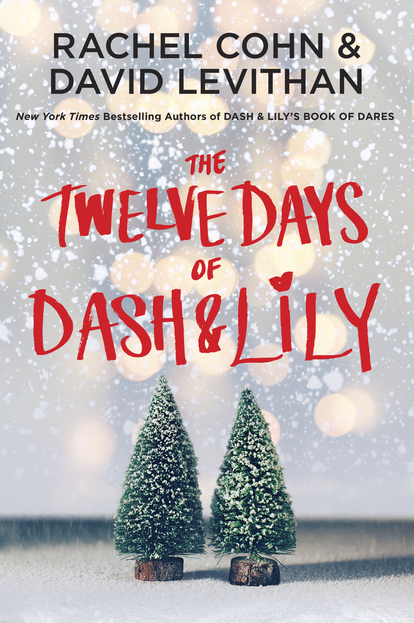The Twelve Days of Dash & Lily (Dash & Lily Series, Band 2)