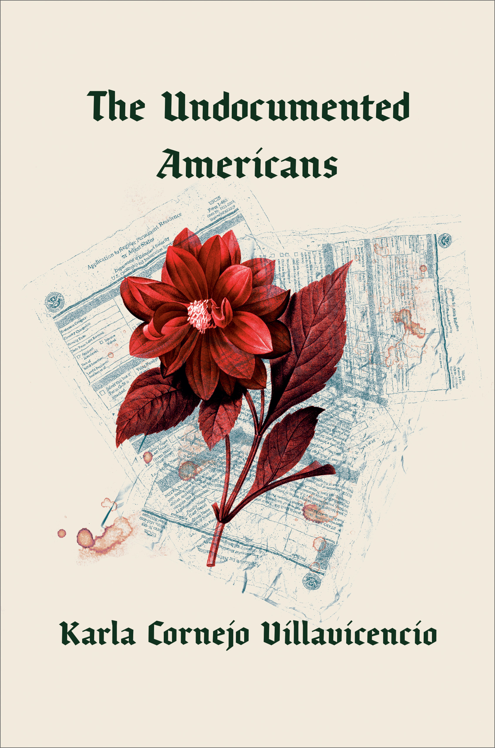 The Undocumented Americans: Cornejo Villavicenci