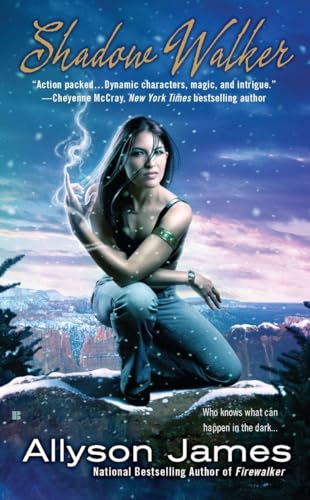 Shadow Walker (Stormwalker, Band 3)