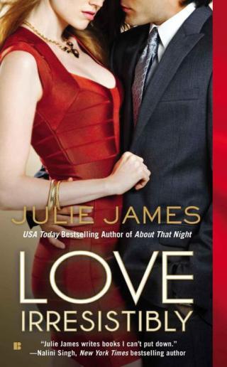 Love Irresistibly (An FBI/US Attorney Novel, Band 4)