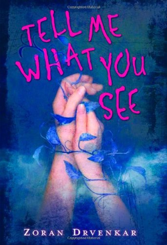Tell Me What You See