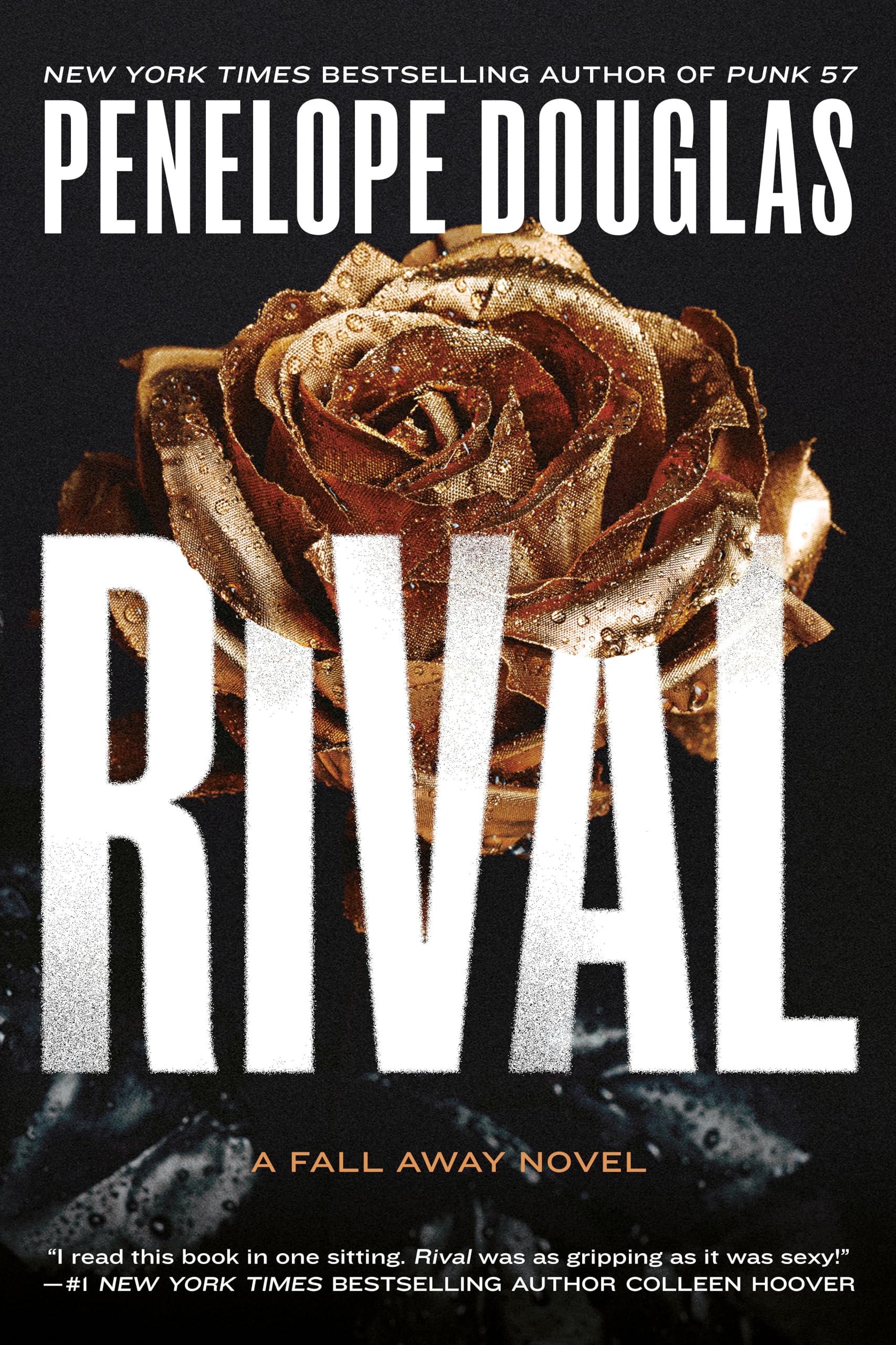 Rival (The Fall Away Series, Band 3)