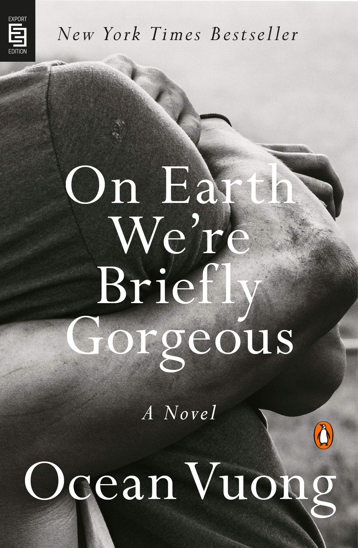 On Earth We're Briefly Gorgeous: A Novel