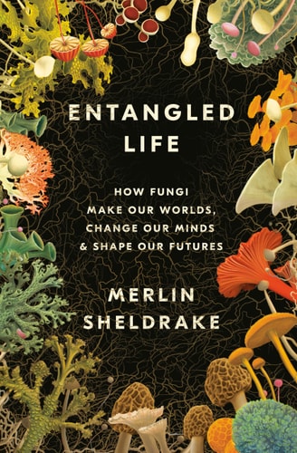 Entangled Life: How Fungi Make Our Worlds, Change Our Minds, and Shape Our Futures