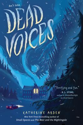 Dead Voices (Small Spaces Quartet, Band 2)