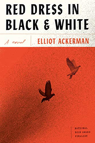 Red Dress in Black and White: A novel
