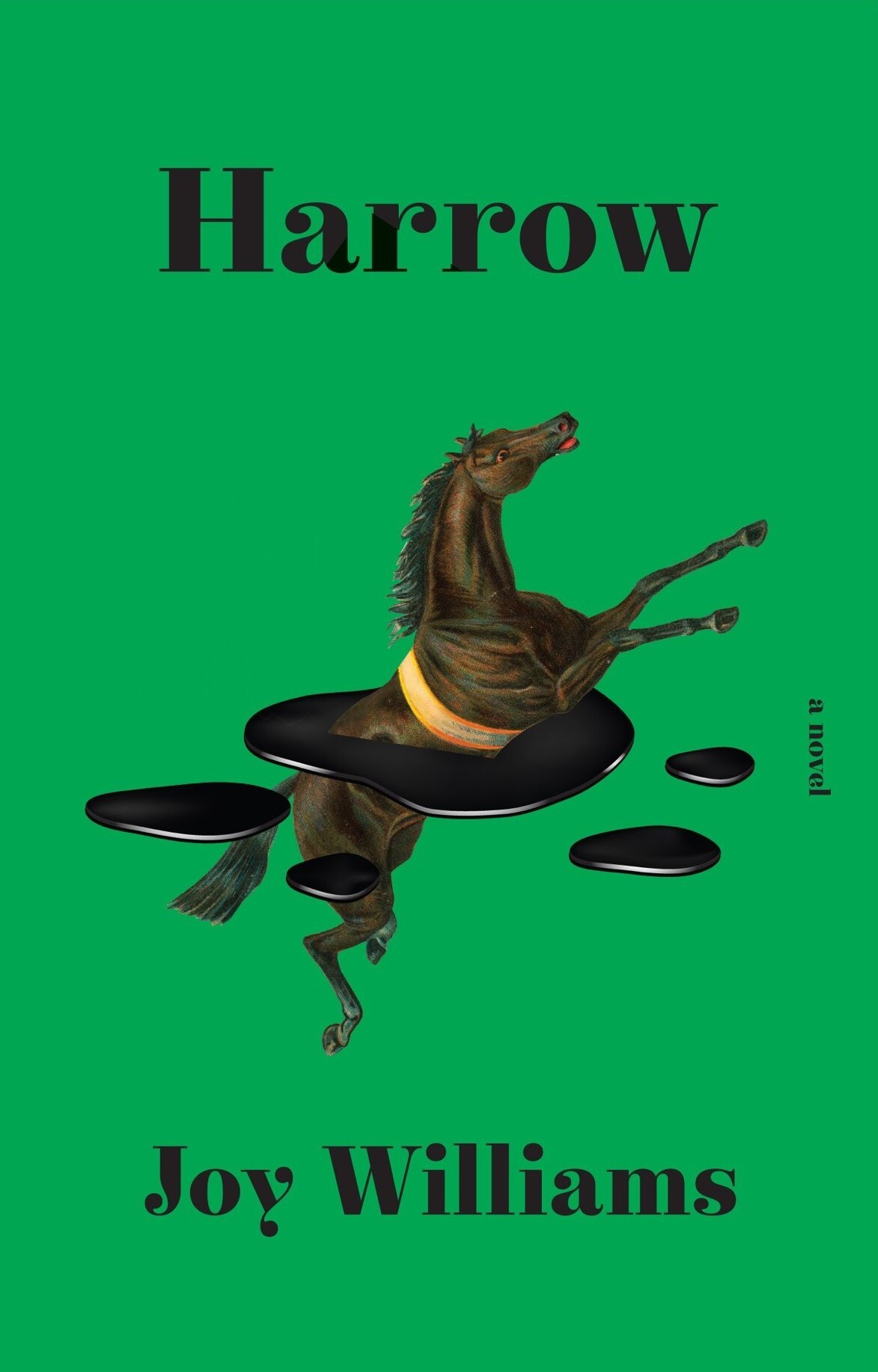 Harrow: A novel