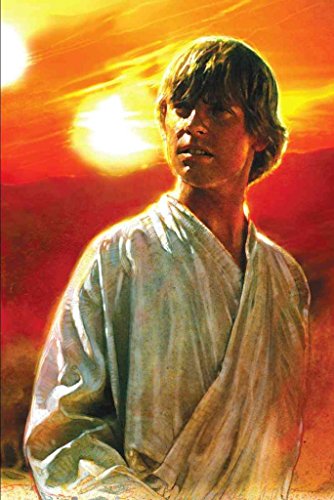 A New Hope: The Life of Luke Skywalker (Star Wars)