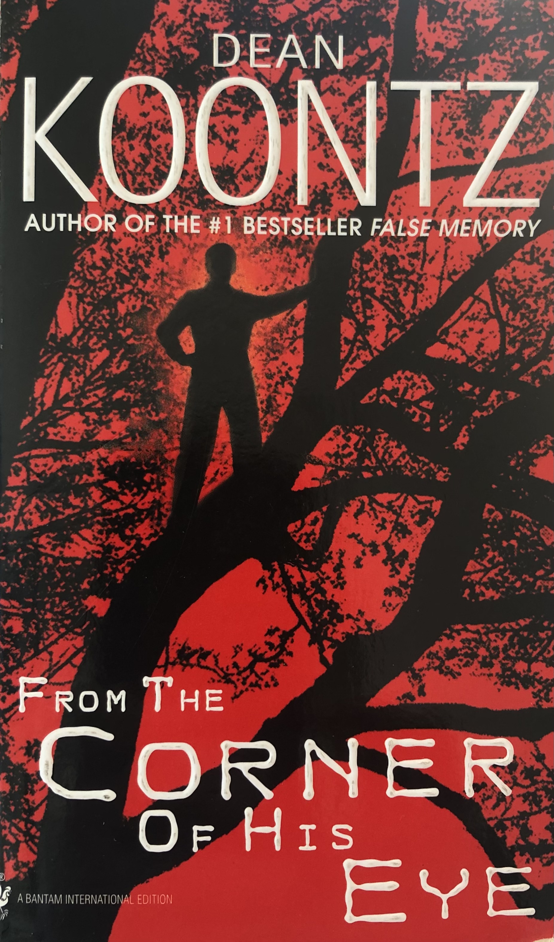 From the Corner of His Eye: A Novel