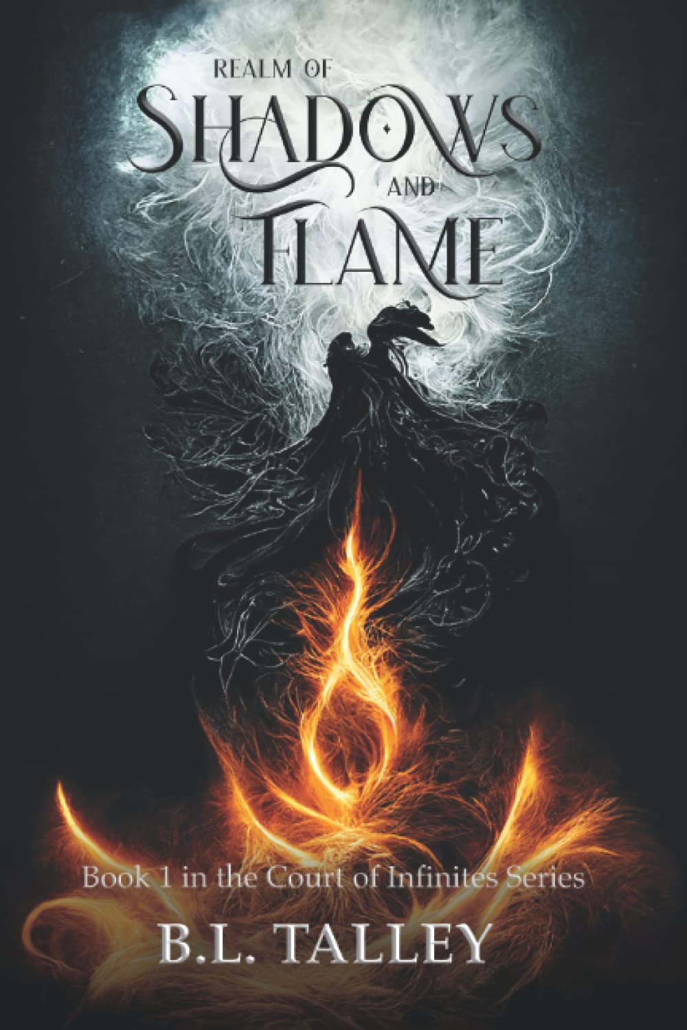 Realm of Shadows and Flame: Book 1 in the Court of Infinites Series