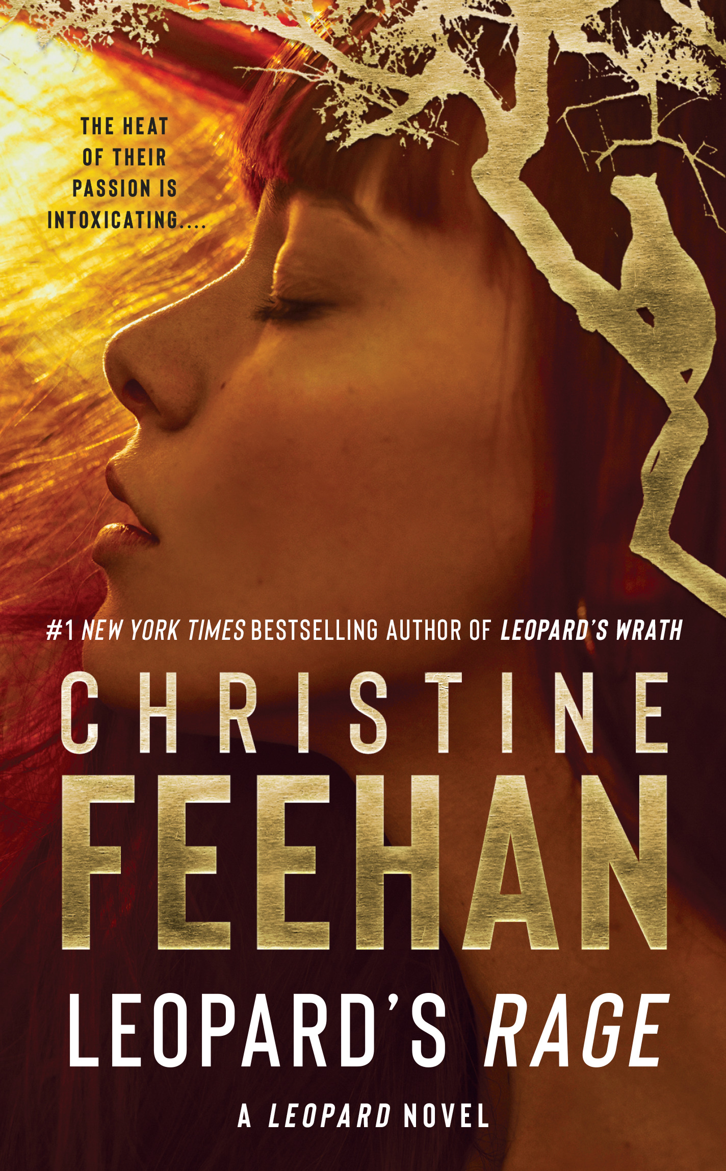Leopard's Rage (A Leopard Novel, Band 13)