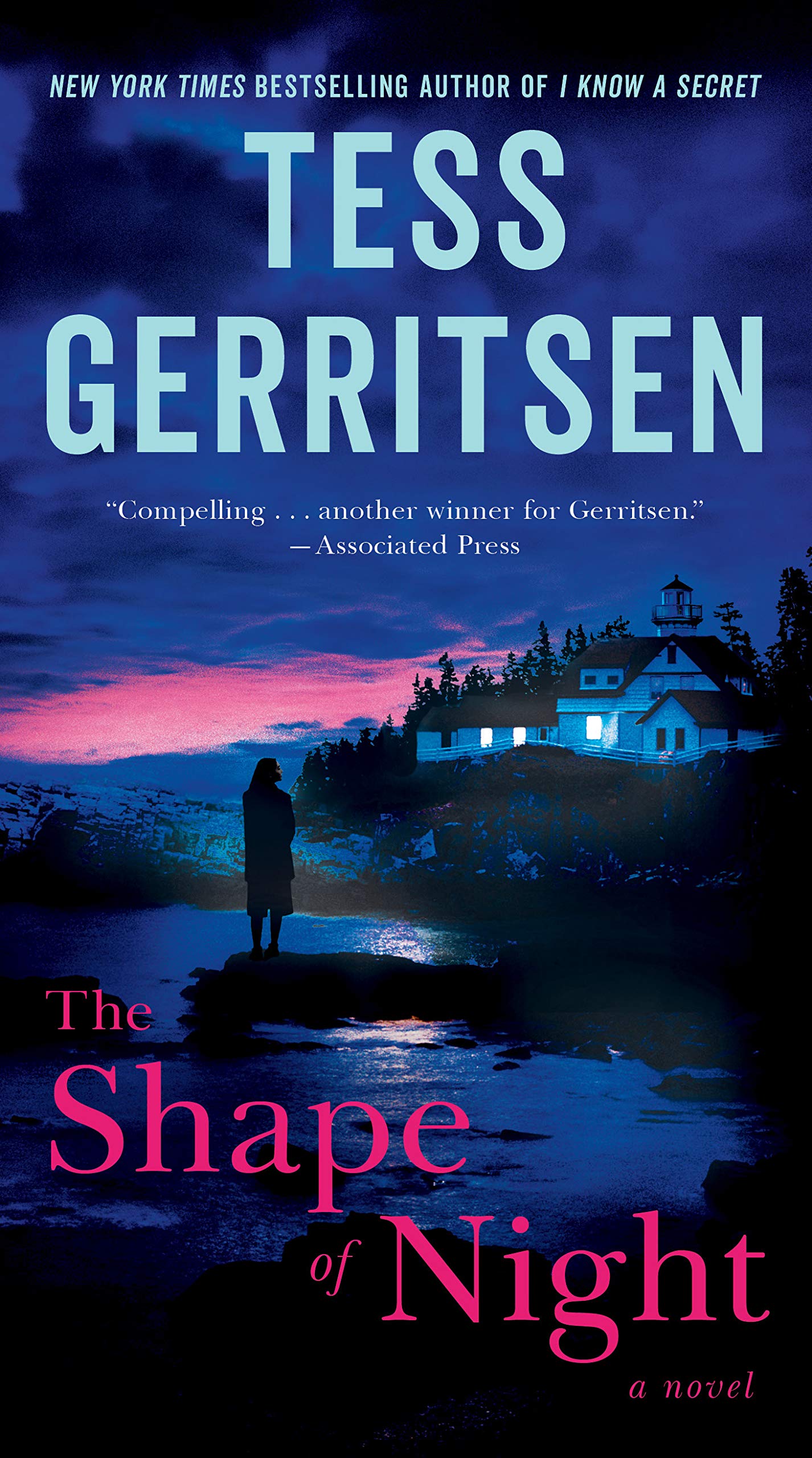The Shape of Night: A Novel