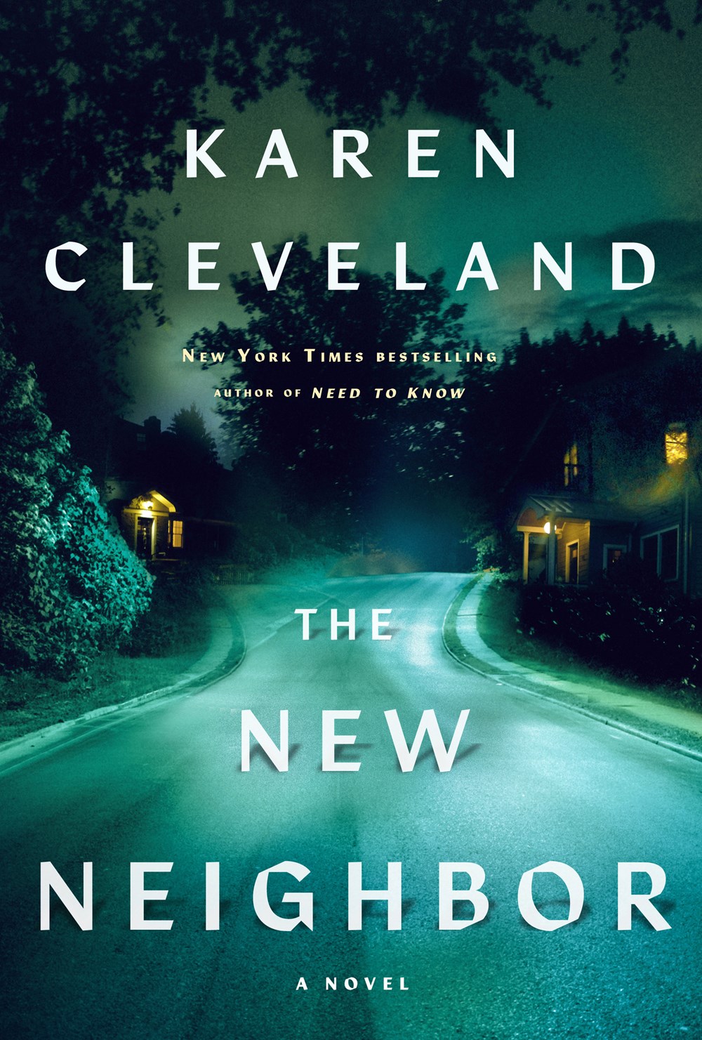 The New Neighbor: A Novel