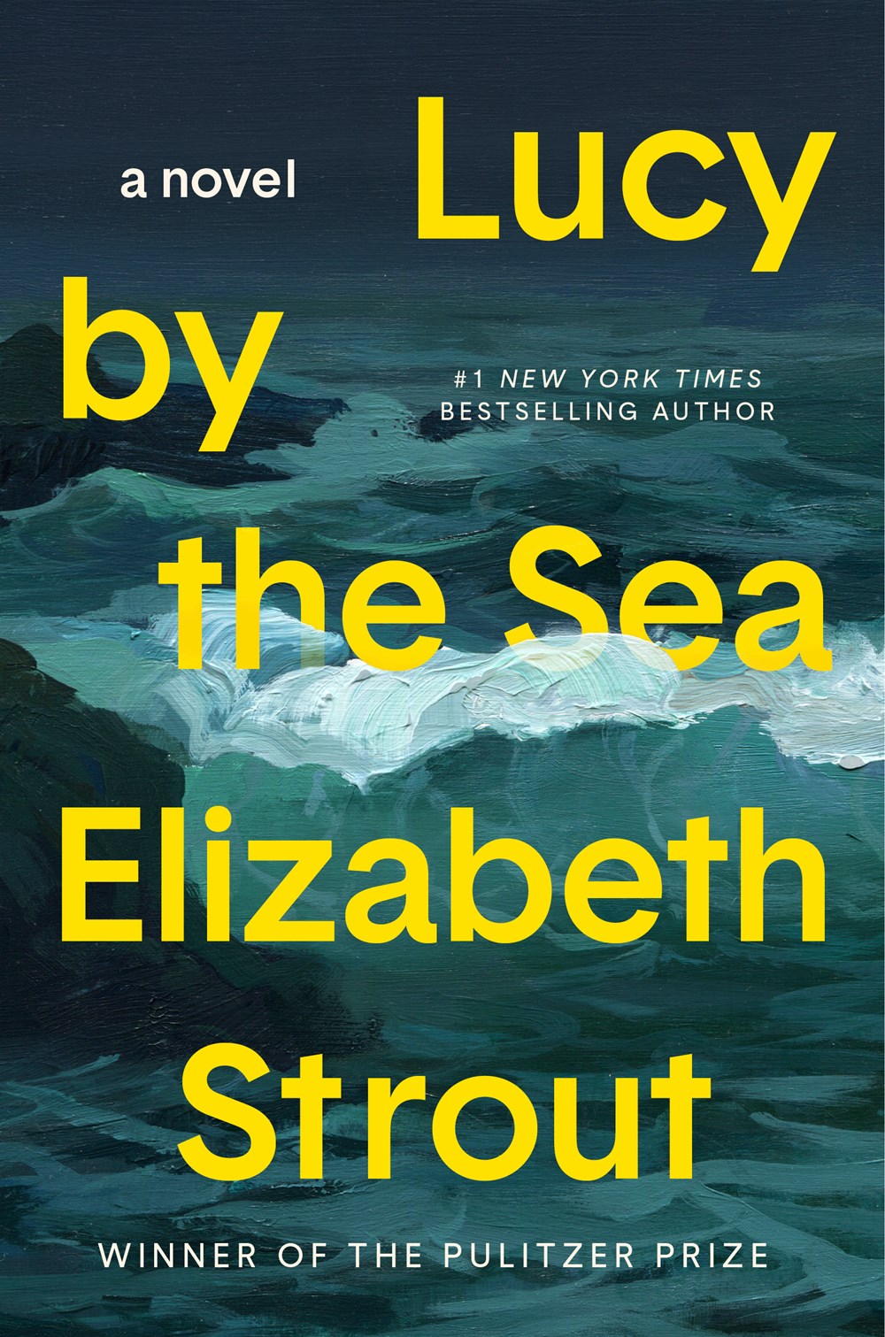 Lucy by the Sea: A Novel (Lucy Barton, 4)