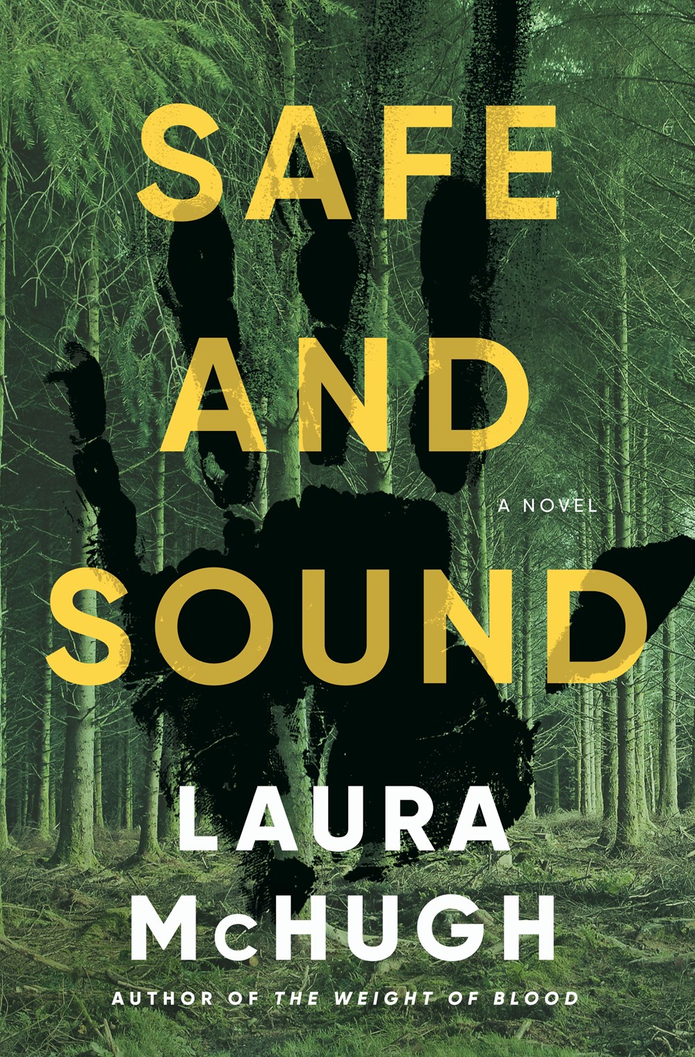 Safe and Sound: A Novel