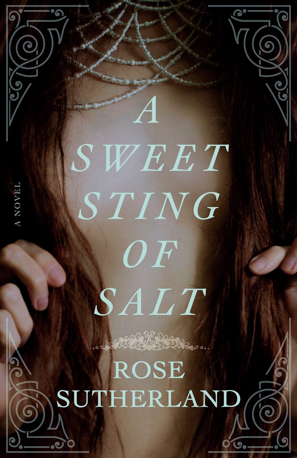 A Sweet Sting of Salt: A Novel