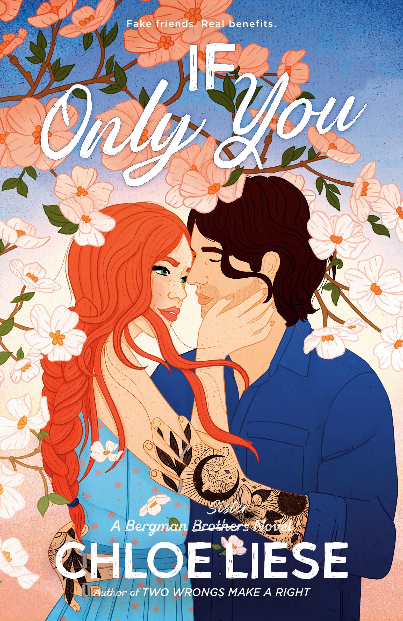 If Only You (The Bergman Brothers, Band 6)