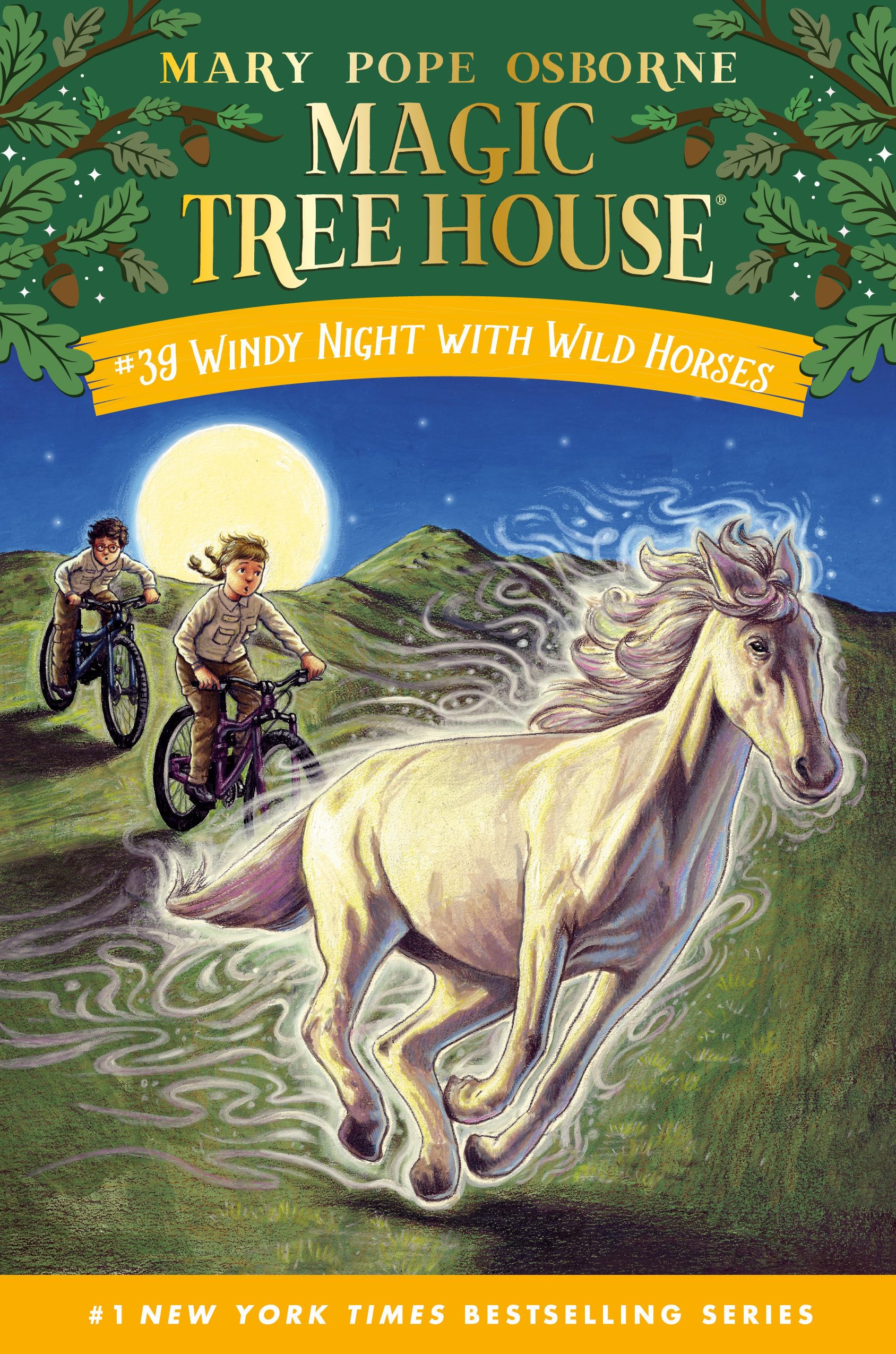 Windy Night with Wild Horses (Magic Tree House (R), Band 39)
