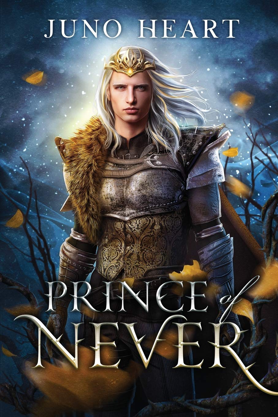 Prince of Never: A Fae Romance (Black Blood Fae, Band 1)