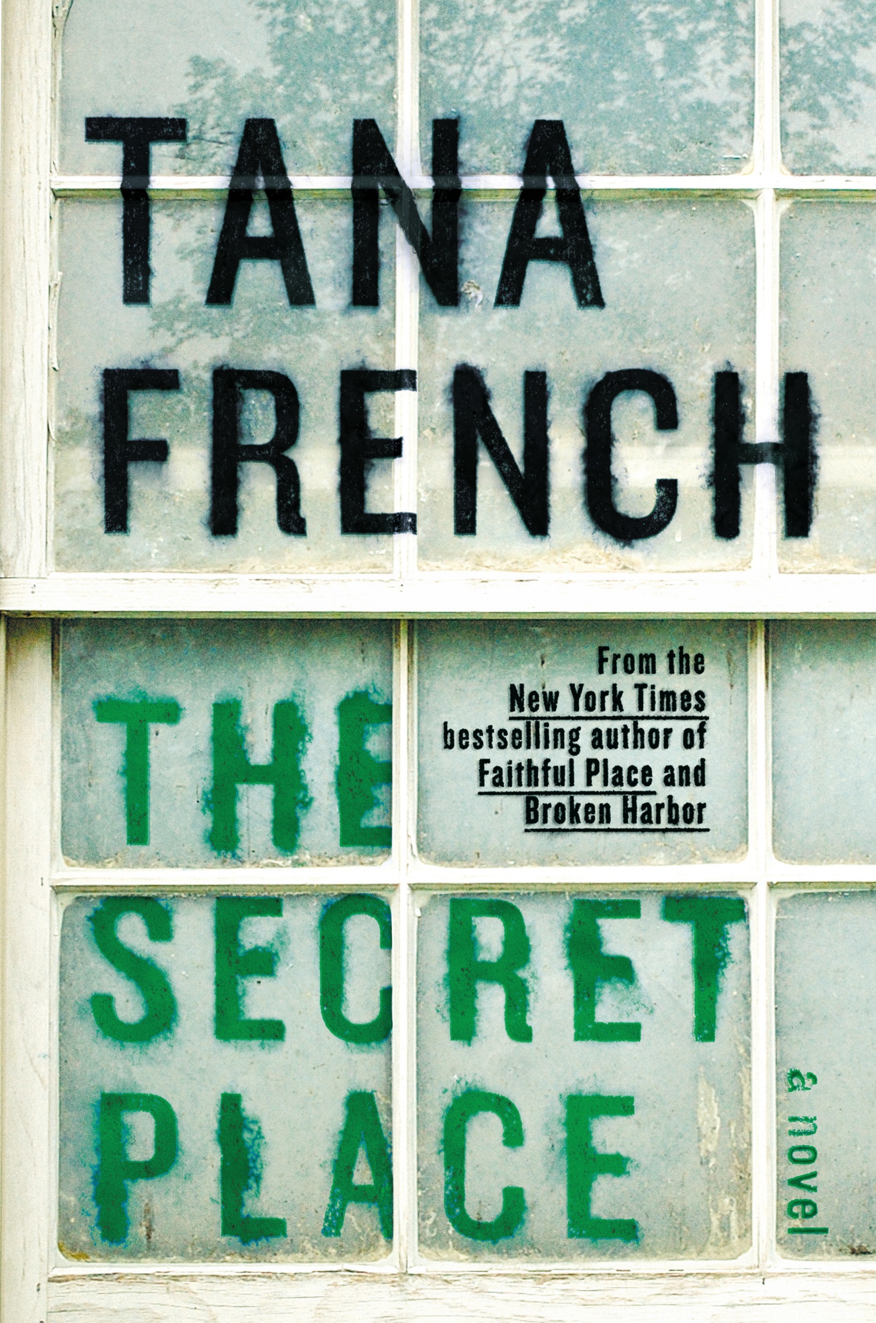 The Secret Place (Dublin Murder Squad, Band 5)