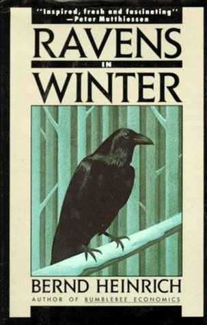 Ravens in Winter (Vintage)