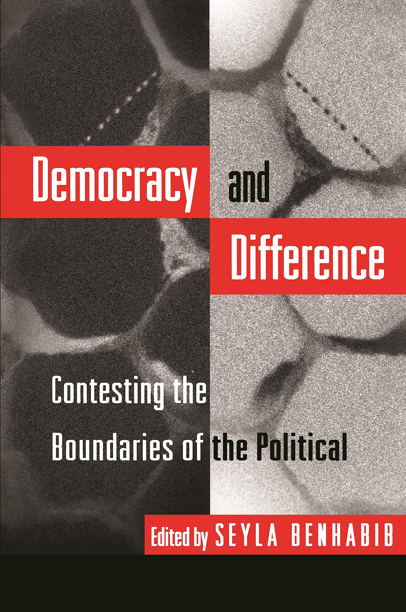 Democracy and Difference: Contesting Boundaries of the Political (Princeton Paperbacks)