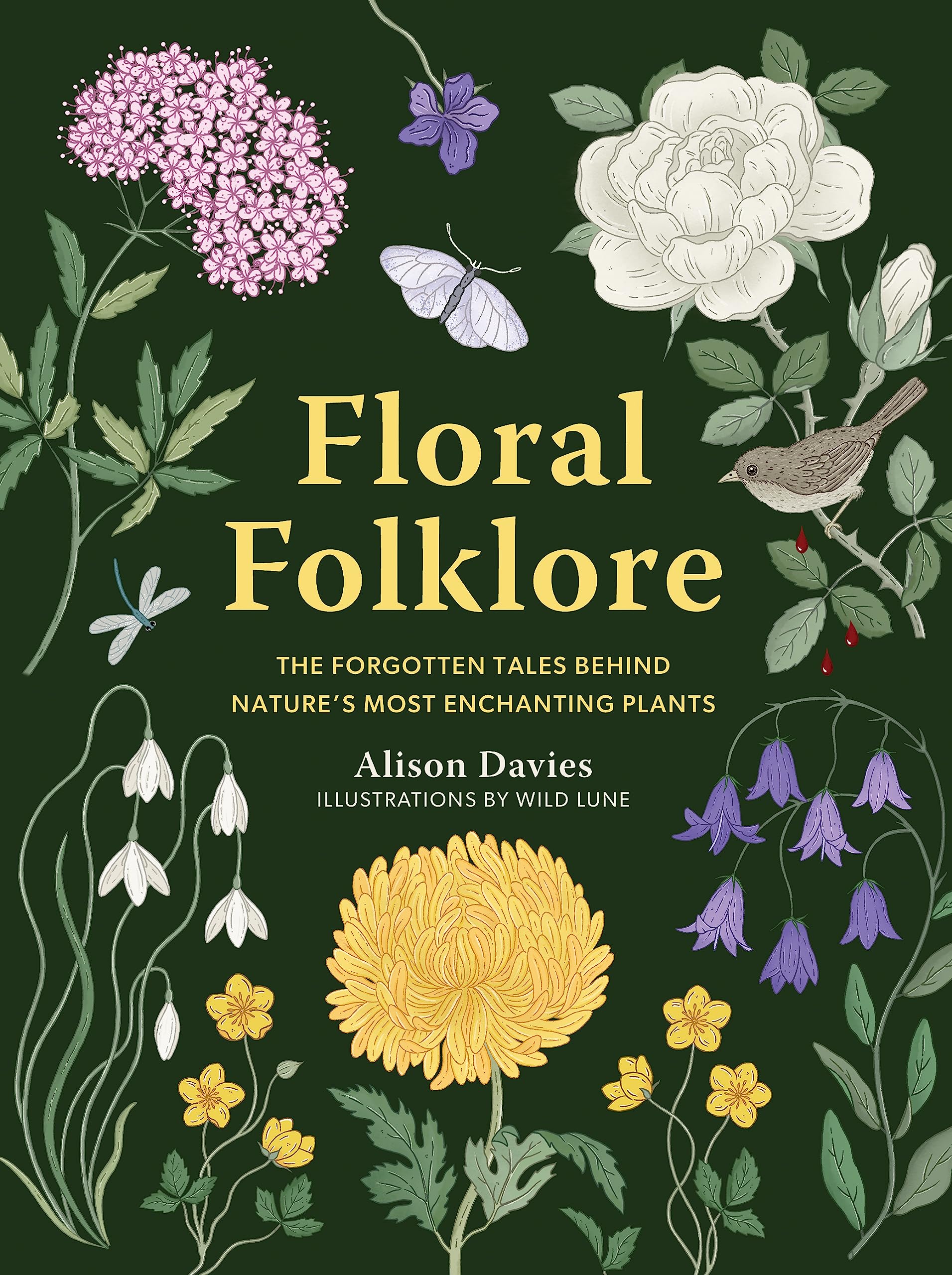 Floral Folklore: The forgotten tales behind nature’s most enchanting plants (Stories Behind…)