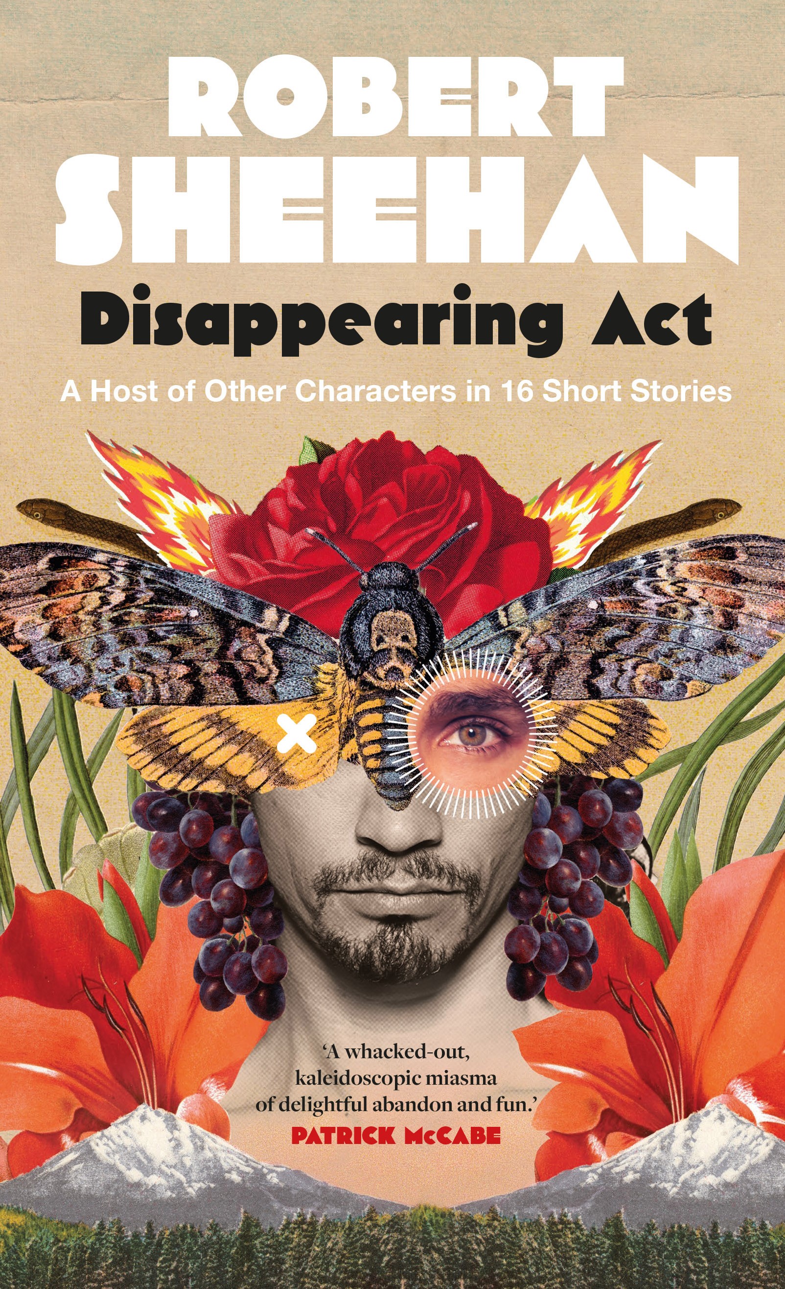 Disappearing ACT: A Host of Other Characters in 16 Short Stories
