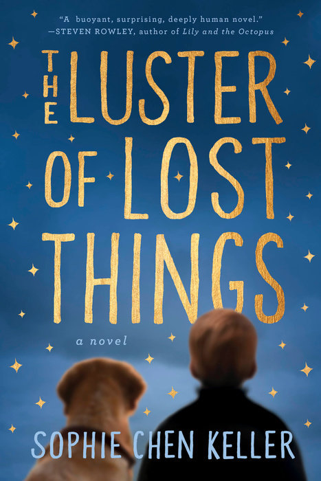 The Luster of Lost Things: A Novel