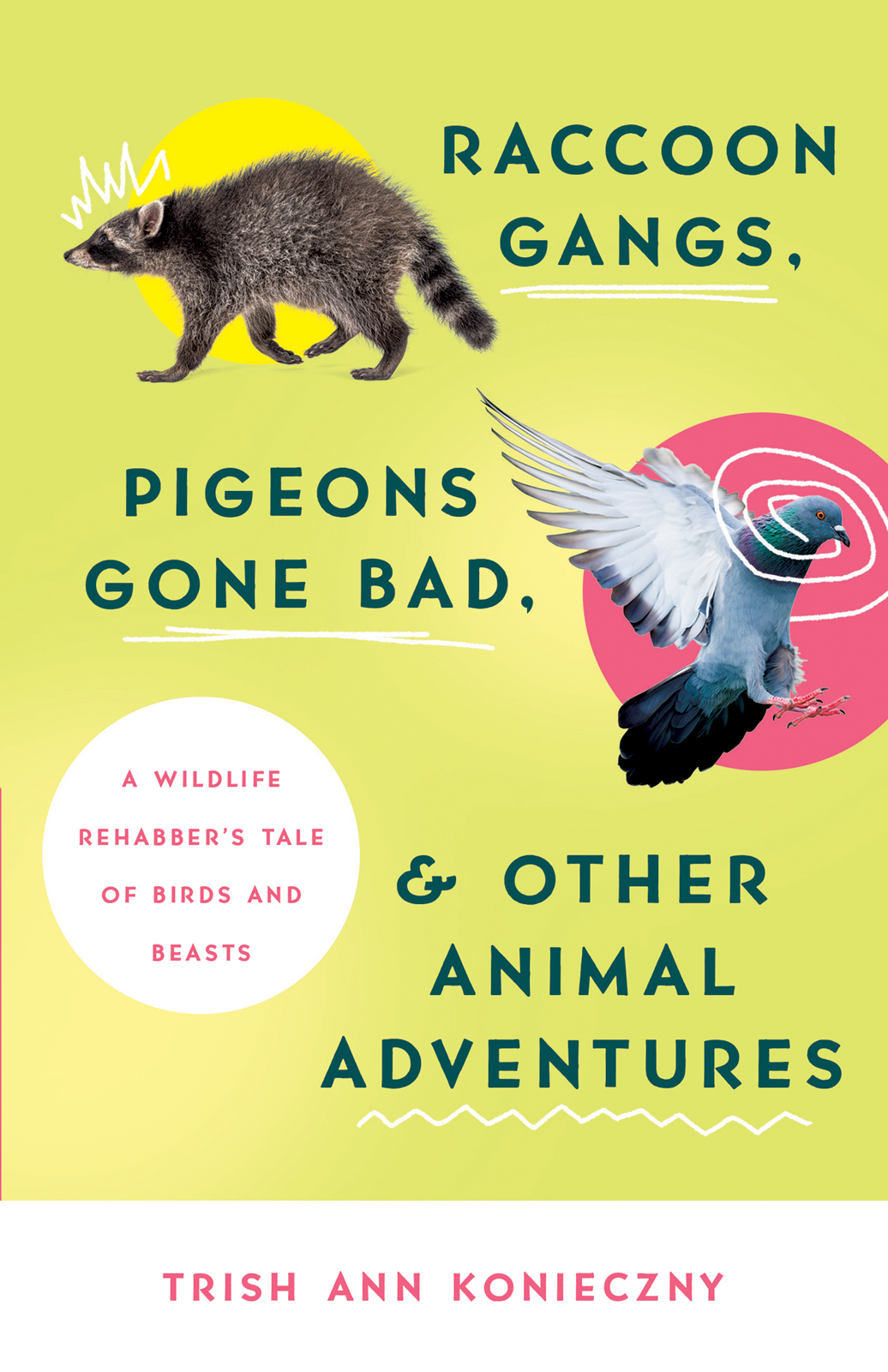 Raccoon Gangs, Pigeons Gone Bad, & Other Animal Adventures: A Wildlife Rehabber's Tale of Birds and Beasts