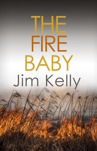 The Fire Baby: Secrets and murder flourish in Cambridgeshire (Dryden Mysteries, 2, Band 2)