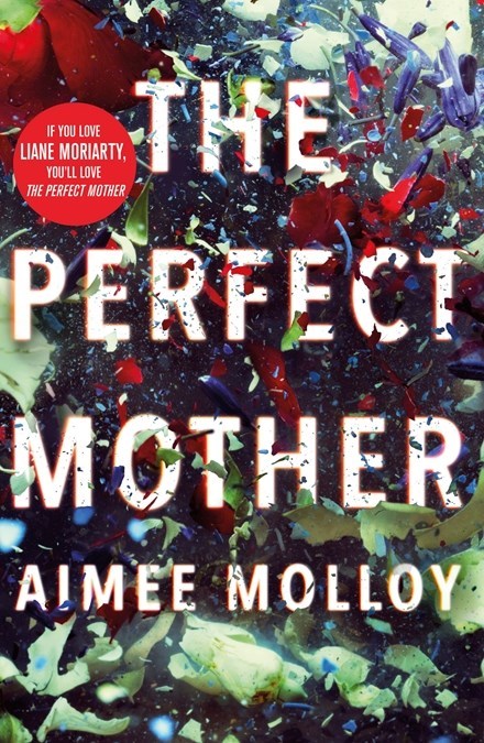The Perfect Mother: A gripping thriller with a nail-biting twist