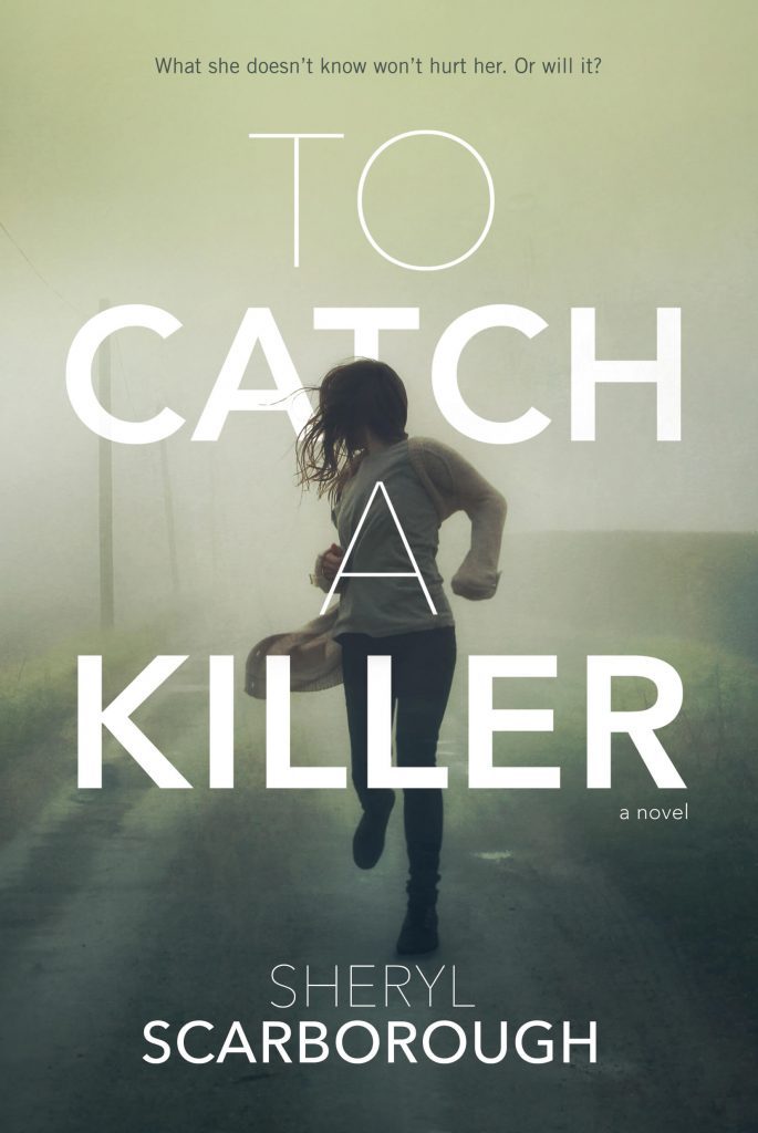 To Catch a Killer (Erin Blake, Band 1)