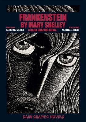 Frankenstein by Mary Shelley: A Dark Graphic Novel (Dark Graphic Novels)